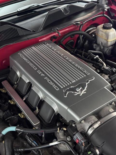 Whatsapp image 2026 03 12 at 14.47.27 %281%29