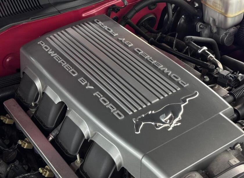 Whatsapp image 2026 03 12 at 14.47.27 %281%29